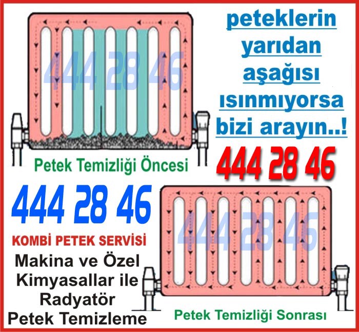 Petek Temizleme Servisi Karatay Konya 